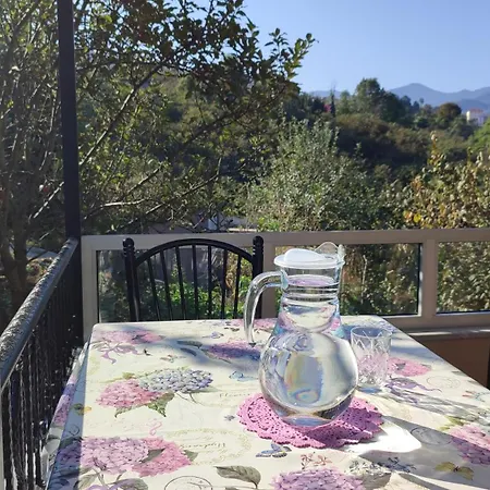 Arsin & Harmanli - For Rent Hotel 4*
