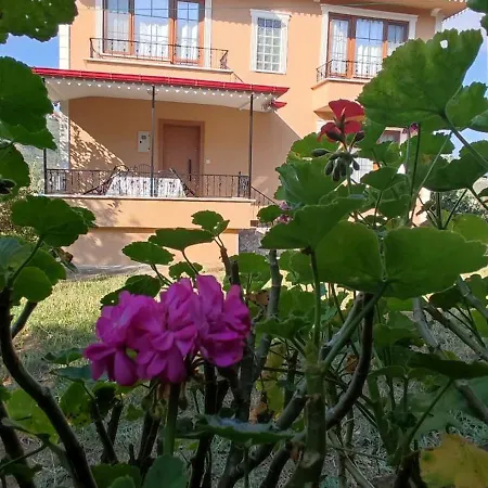 Hotel Arsin & Harmanli - For Rent 4*