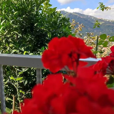 Arsin & Harmanli - For Rent 4*