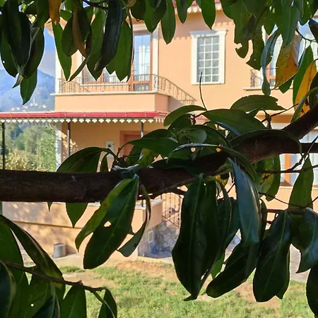 Hotel Arsin & Harmanli - For Rent