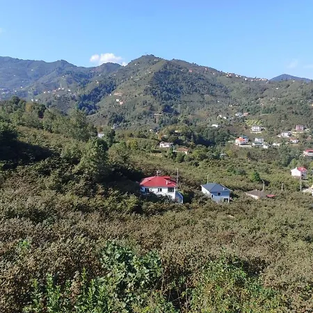 Hotel Arsin & Harmanli - For Rent